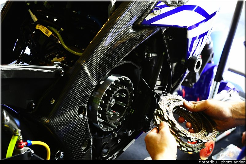 paddock_043