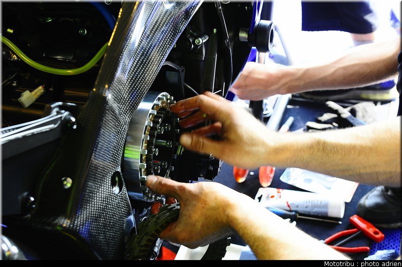 paddock_044