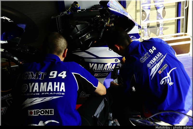 paddock_045