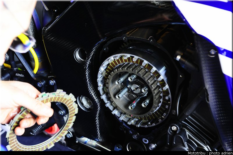 paddock_046