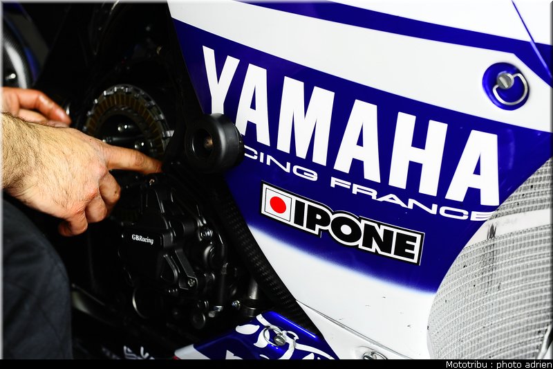 paddock_050