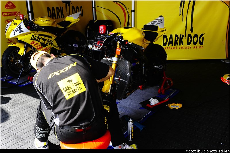 paddock_058