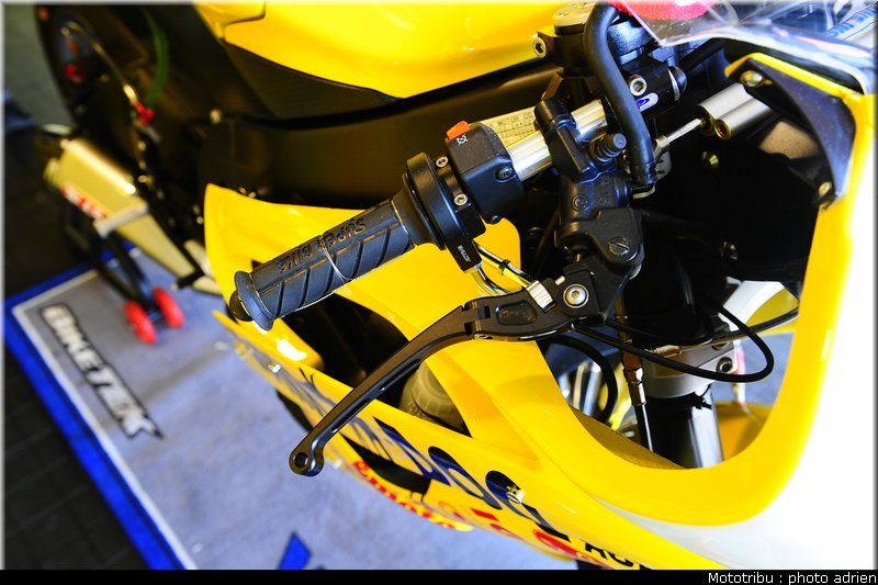 paddock_061