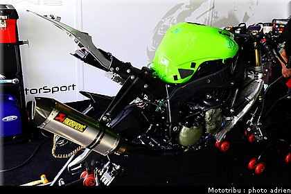 paddock_018.JPG