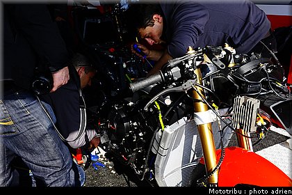 paddock_021.JPG