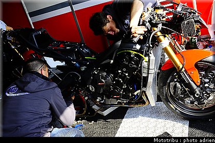 paddock_022.JPG