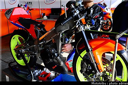 paddock_026.JPG