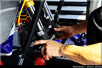 paddock_048.JPG