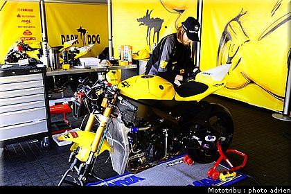 paddock_057.JPG
