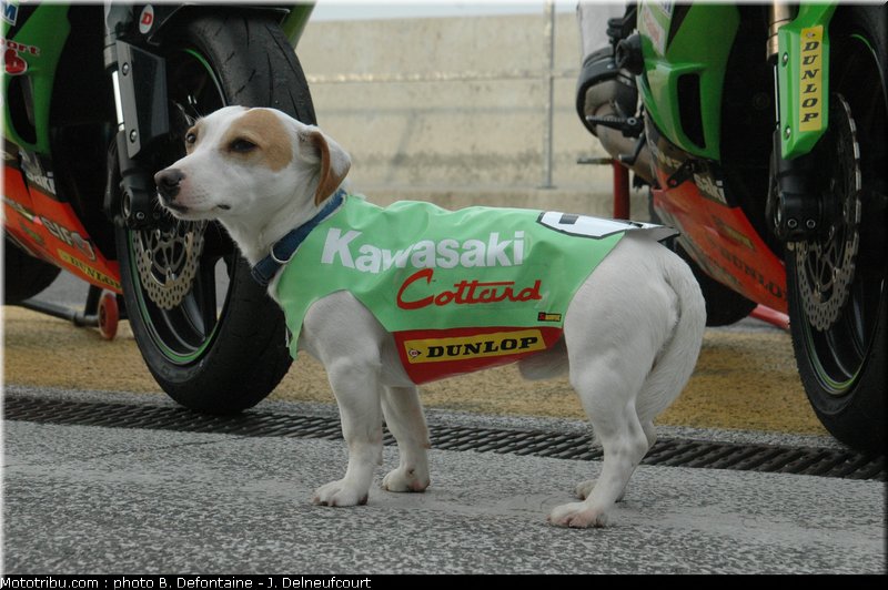 promosport_2011_nogaro_0006