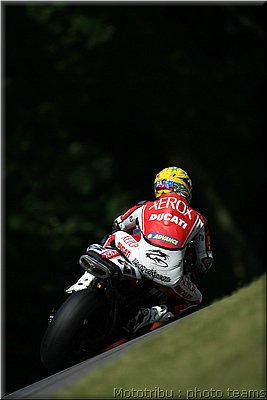bayliss_06.jpg