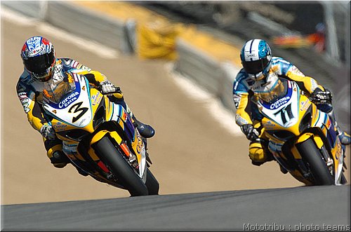 suzuki001.JPEG