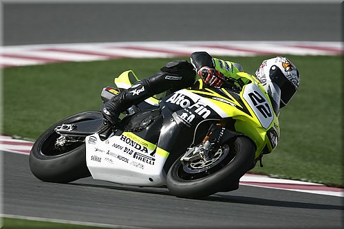 morelli_2.jpg