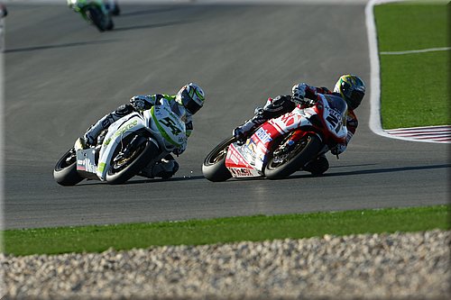 qatar_04.jpg