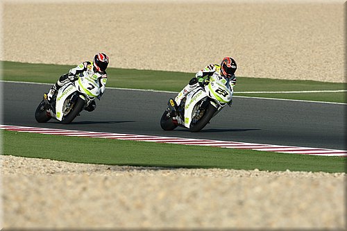 qatar_08.jpg