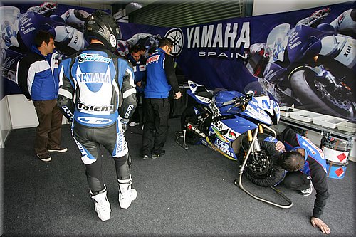 salom_4.jpg