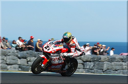 bayliss_08.jpg