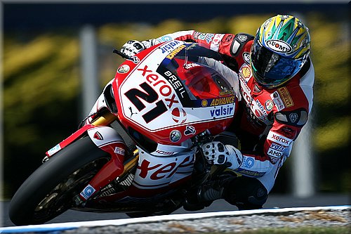 bayliss_09.jpg