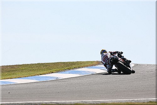 bayliss_11.jpg