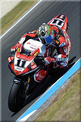 corser_09.jpg