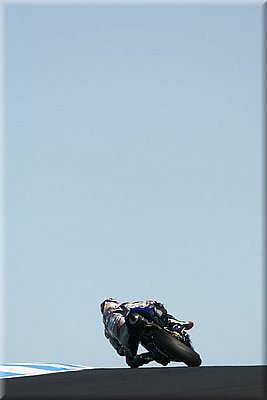 mccoy_09.jpg