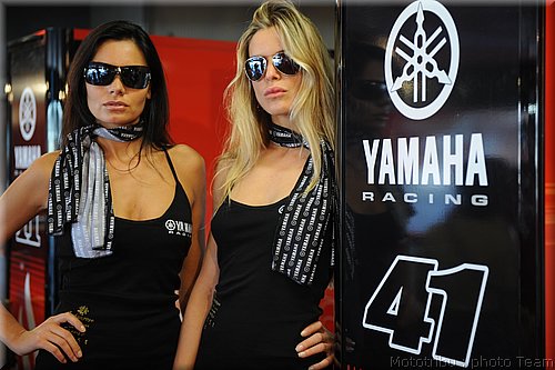 pitbabes_4.jpg
