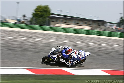 ss-foret007.jpg