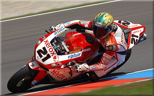 bayliss_03.jpg