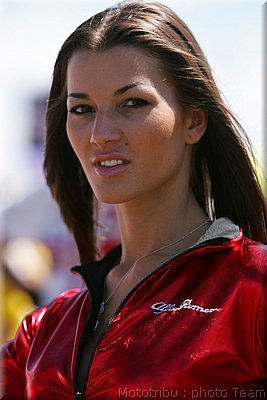 pitbabes_07.jpg