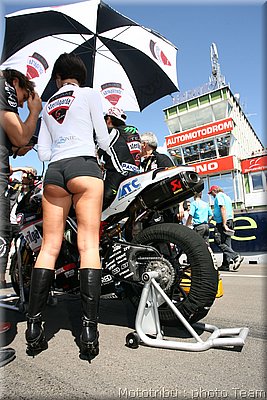 pitbabes_09.jpg
