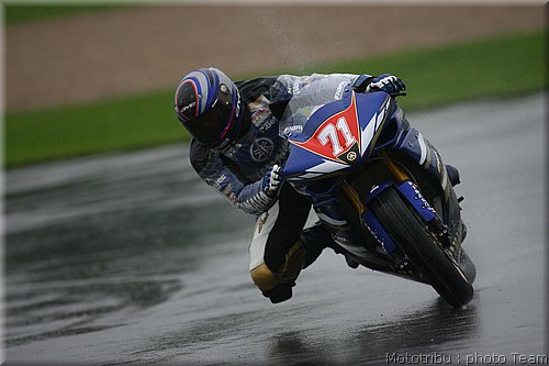 0335_stk1000_corti_2.jpg