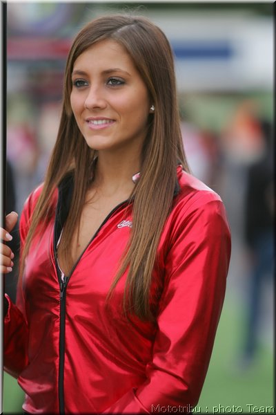 0462_pitbabes_1