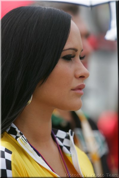 0464_pitbabes_3