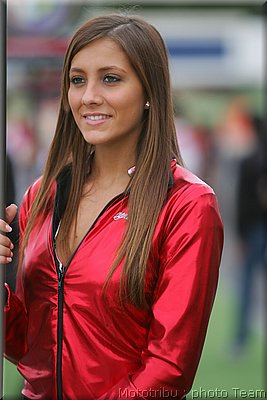 0462_pitbabes_1.jpg