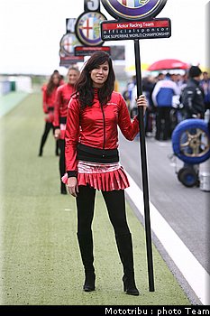 0506_pitbabes_3.jpg