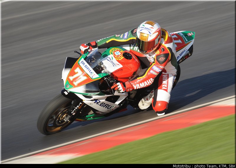 0036_stk1000_corti_07