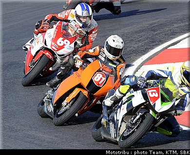 0017_stk1000_004.jpg