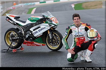 0031_stk1000_corti_02.jpg