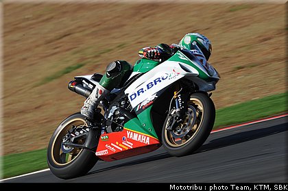 0038_stk1000_corti_09.jpg