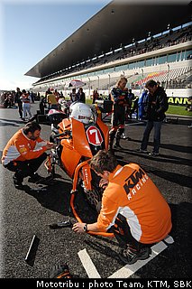 0045_stk1000_maehr_6.jpg
