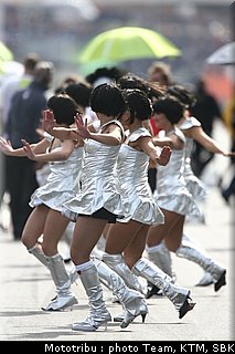 0518_pitbabes_5.jpg