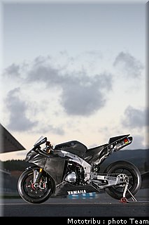 yamaha_13.jpg
