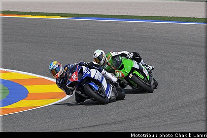 stk1000_010.JPG