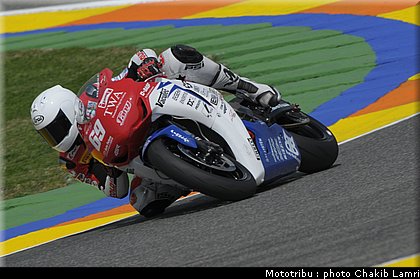stk1000_jezek_1.JPG