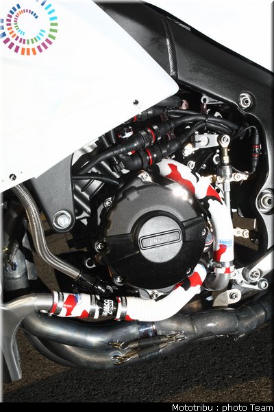 0278_ss_laverty_09