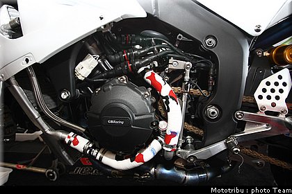 0275_ss_laverty_06.jpg