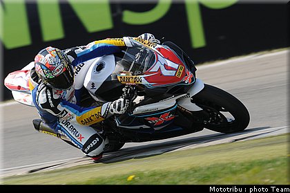 0341_stk1000_corti_005.jpg