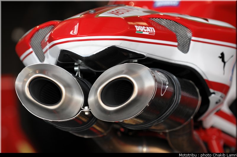 paddock_02