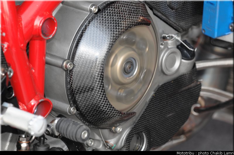 paddock_03
