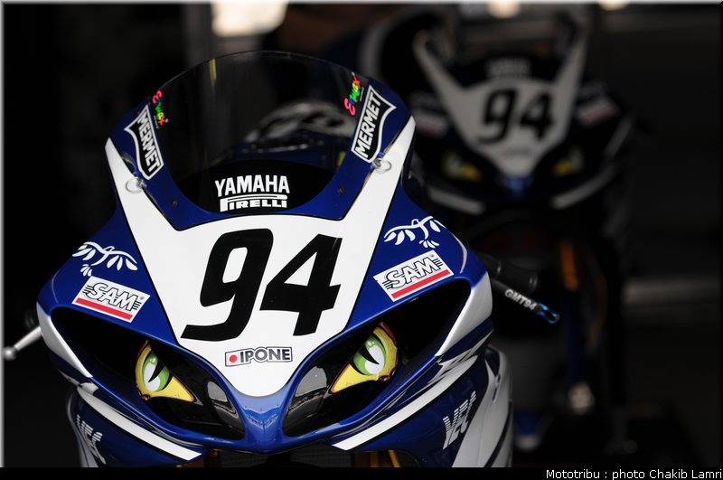 paddock_19